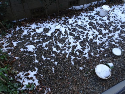 【庭】 | フラッツコジマ