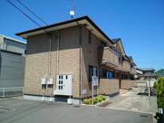 カーム・リリーの画像