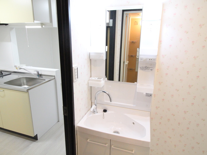 ルポゼスギモトの洗面所