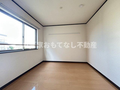 【その他】 | Placido