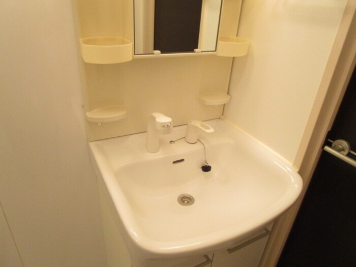 ベルデュールの洗面所