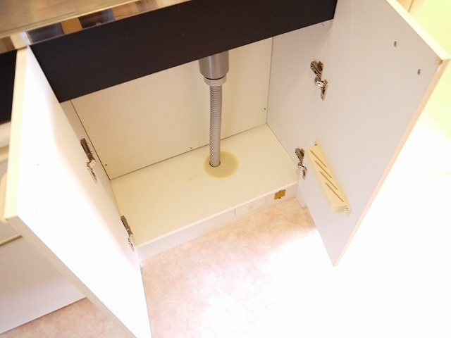 アイリスハイツ6号館の収納|こまごまとしたものを収納できそうですね