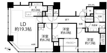 Brillia一番町の間取り