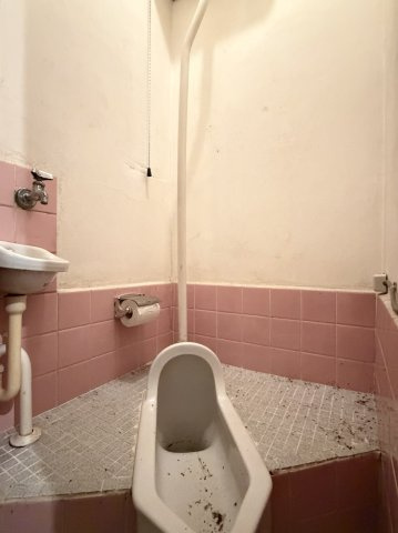 シャトレロジェのトイレ