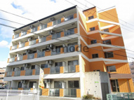 ドマーニの画像