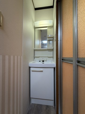 ハウス大幸の洗面所