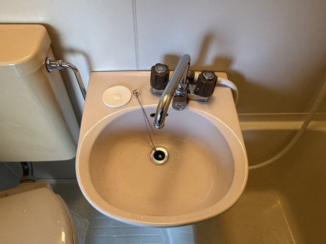 ハウス大幸の洗面所