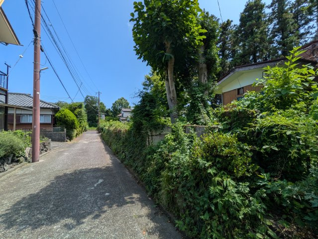 伊東市　八幡野の前面道路含む現地写真