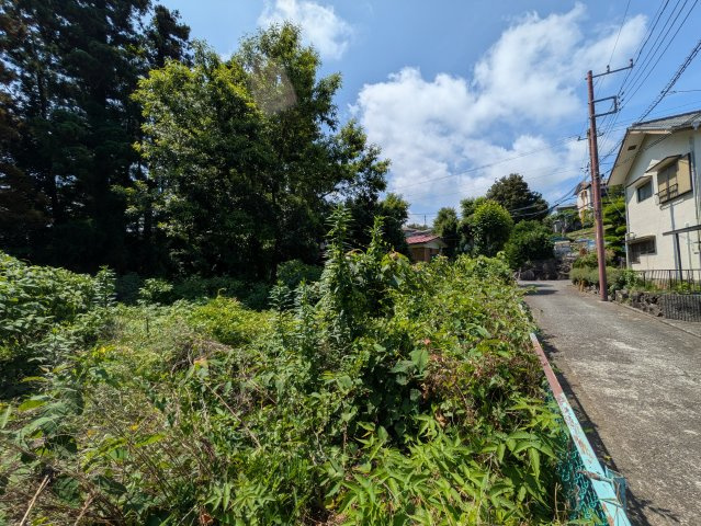 伊東市　八幡野の前面道路含む現地写真