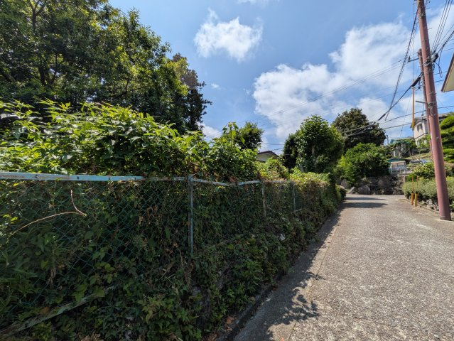 伊東市　八幡野の前面道路含む現地写真