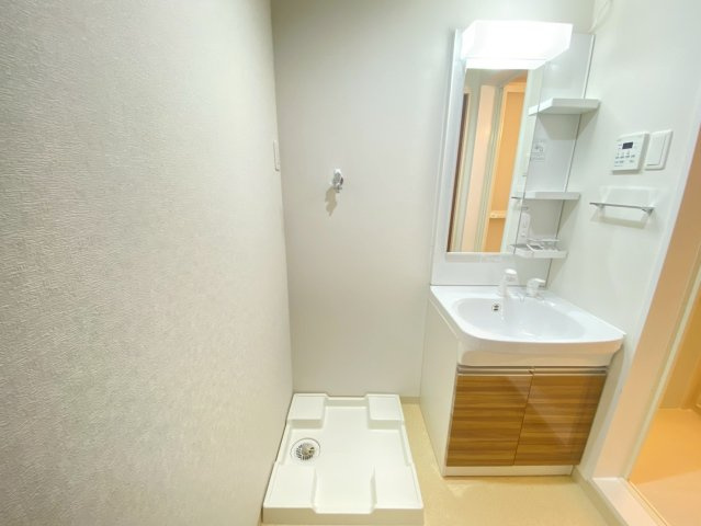 MuseZioⅢ（近大一人暮らし）の洗面所