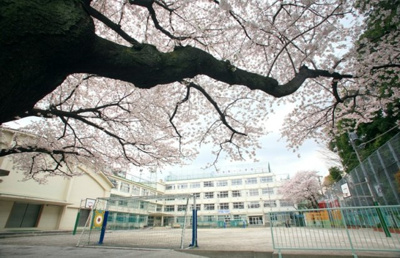 【周辺】 | 杉並区阿佐谷北1丁目　新築戸建　№4 11980万円 | 杉並区立杉並第一小学校