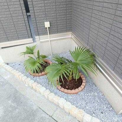 【展望】 | GARDEN MIRAMA