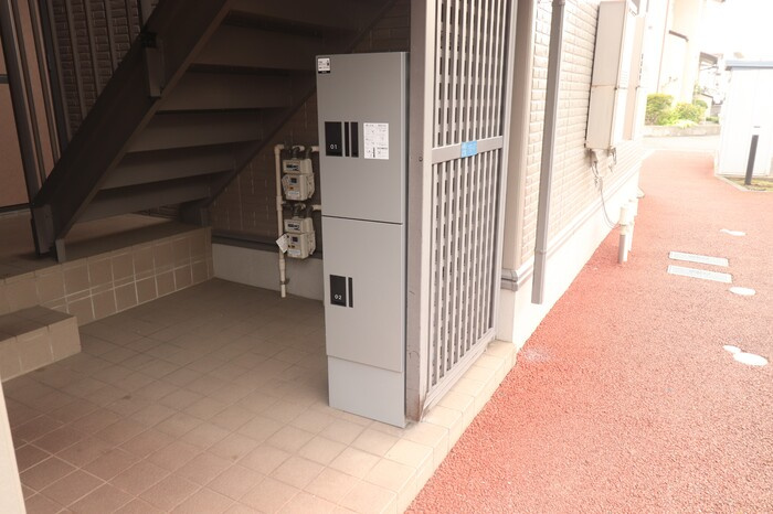 シャムロックのその他