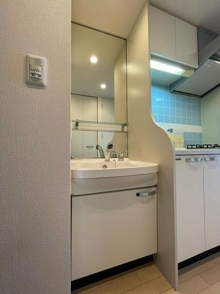 ライジングコート瑞穂通の洗面所