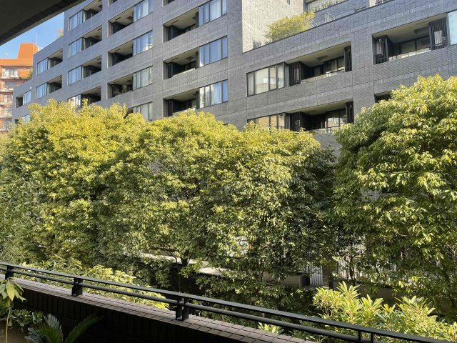 ファミールコート南青山の居間・リビング|リビングからの眺望