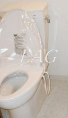 【トイレ】 | ＳＩＮ－ＣＩＴＹ板橋大山 | トイレです。