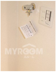 フェリスパルフェの設備|室内洗濯機置場★（同一仕様写真）