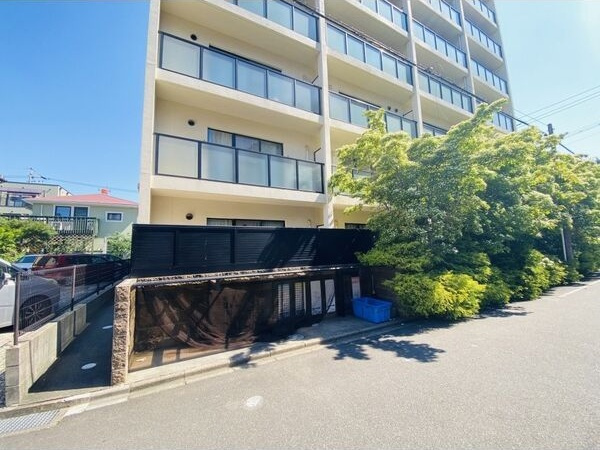 コンソラトゥールのその他