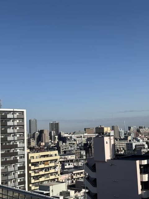 スプランディッド大山の展望