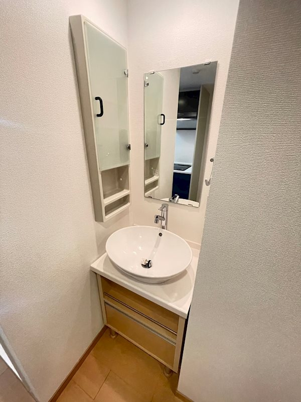 カスタリア三宮の洗面所