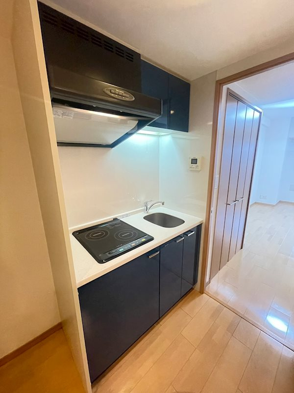 カスタリア三宮のキッチン