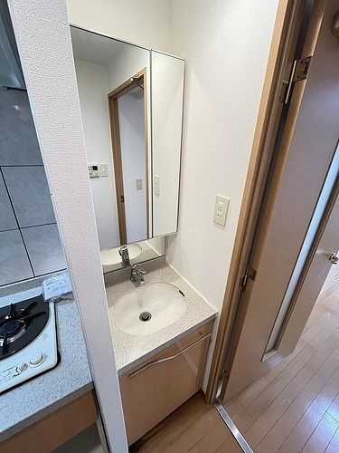 エステムコート新神戸エリタージュの洗面所
