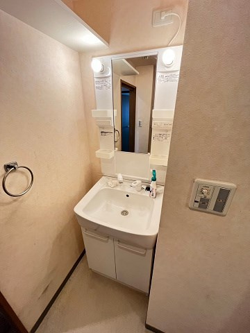 サニーパレス （下大市東町）の洗面所