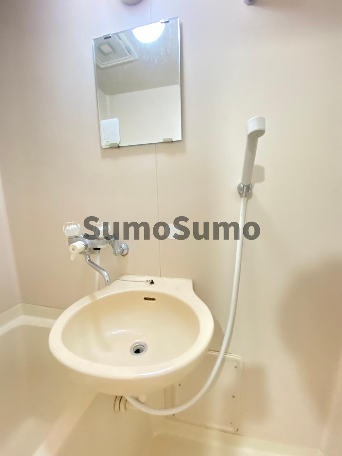サンハウス本山の洗面所
