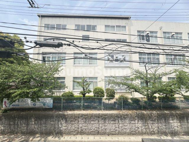 どみとりーときわⅡの展望