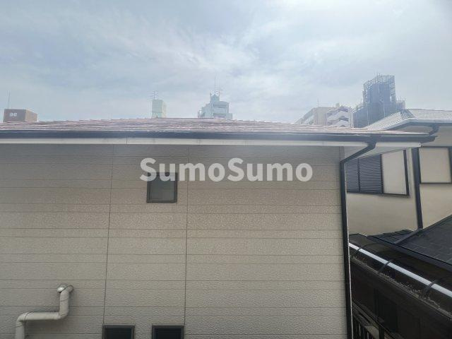 どみとりーときわⅡの展望