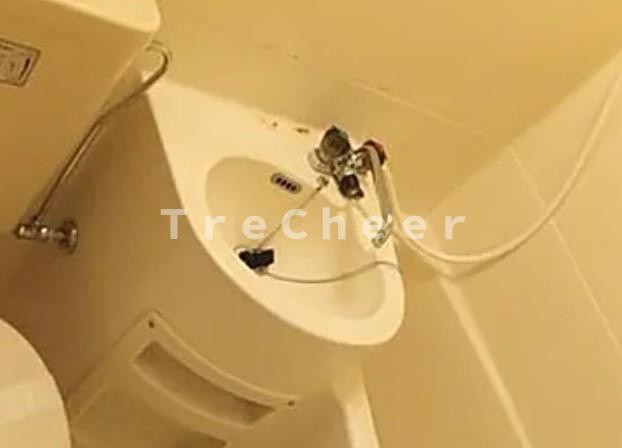 アムール豊玉の洗面所