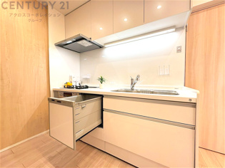 壁付けシステムキッチンはスペースの最大限の有効活用が可能で、動線がスムーズになり調理や準備が快適で効率的に行えます。収納スペースや吊り戸棚が設けられ、調理器具や食器類をスマートに収納できます。