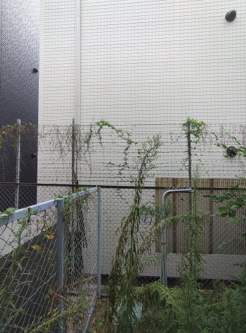 シンプルライフ王子の展望