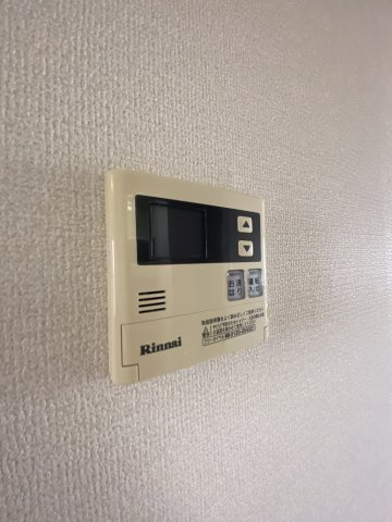 ブリュンヒルトのその他
