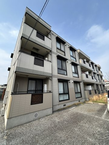 ビューラー藤木