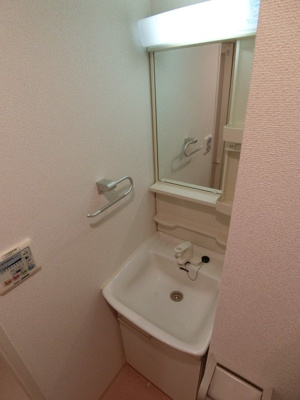 【洗面所】 | ＫＤＸレジデンス雪谷大塚 | 別部屋参考写真