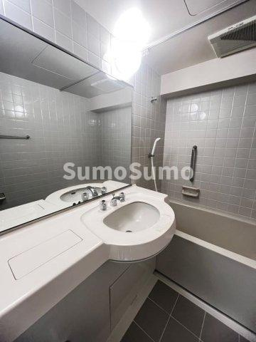 ホープ芦屋の洗面所