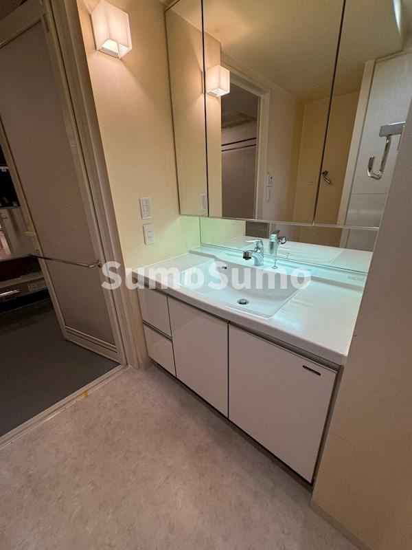 ラ・ヴィータ日本橋の洗面所|洗面所です