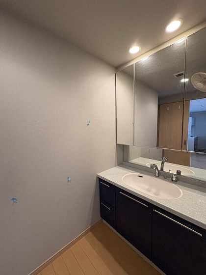 江東区豊洲３丁目の賃貸マンションのその他|洗面