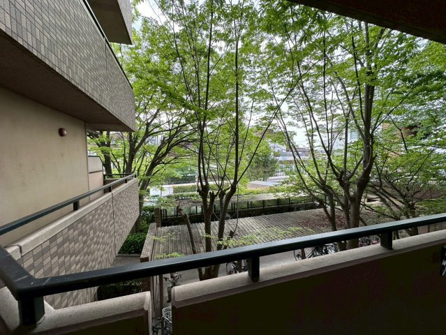 フォリア岡本の展望