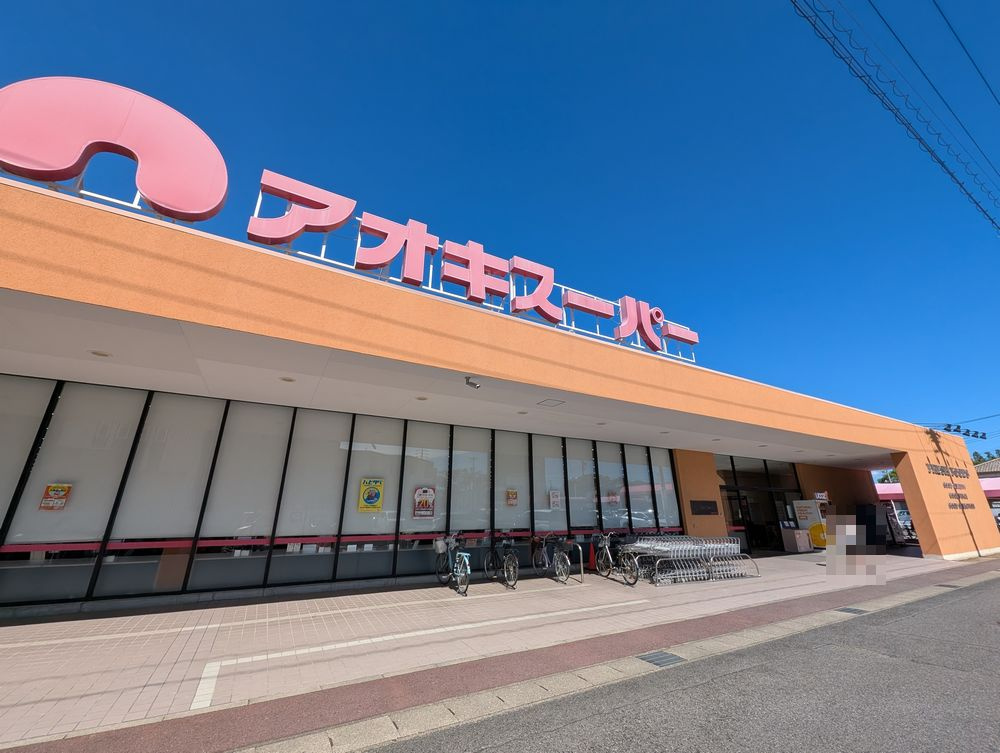 緑区大高町字丸根戸建の周辺|アオキスーパー大高店