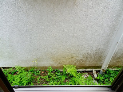 【展望】 | アンベリール