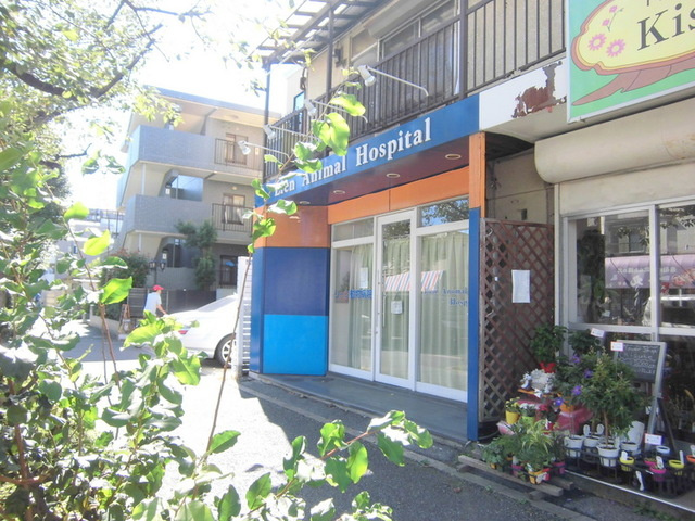 グラン　フェリシア　ウエストのその他|リーン動物病院