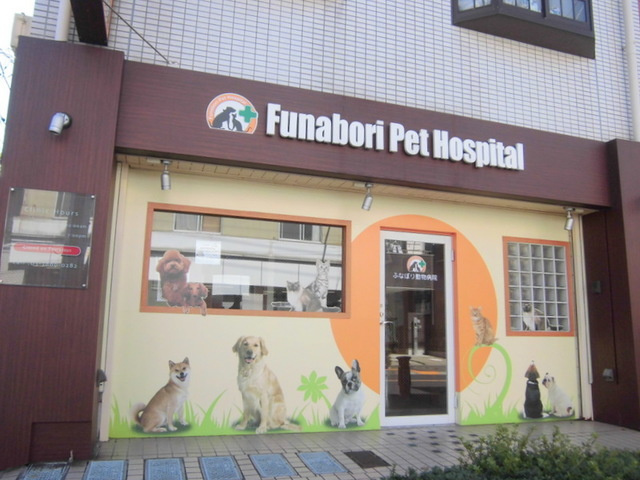 グラン　フェリシア　ウエストのその他|ふなぼり動物病院