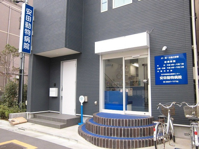 グラン　フェリシア　ウエストのその他|安田動物病院