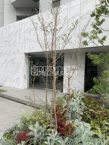 クレイシア入谷のエントランス