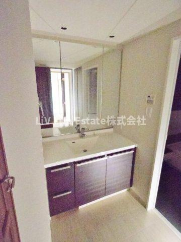 東村山市萩山町５丁目の賃貸マンションの洗面所