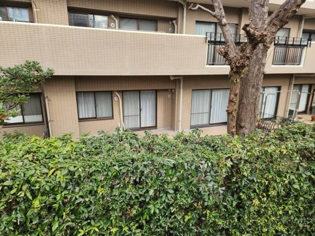 浦和針ヶ谷パーク・ホームズフィオーレのその他|植栽が目隠しになっています