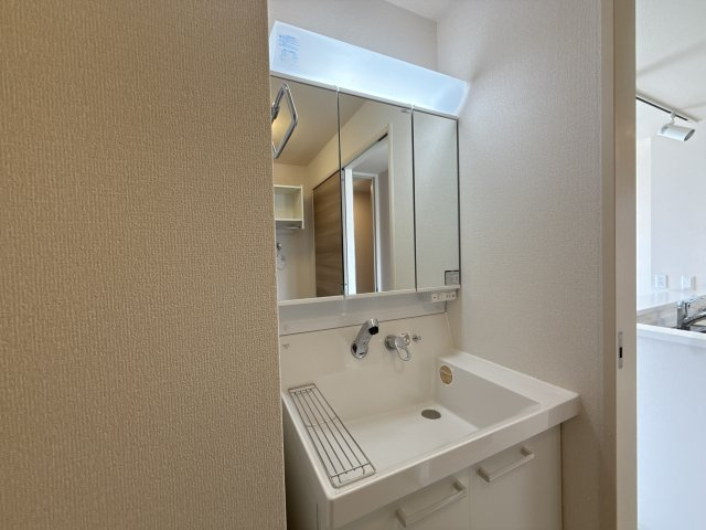 グランレーヴ弐番館の洗面所